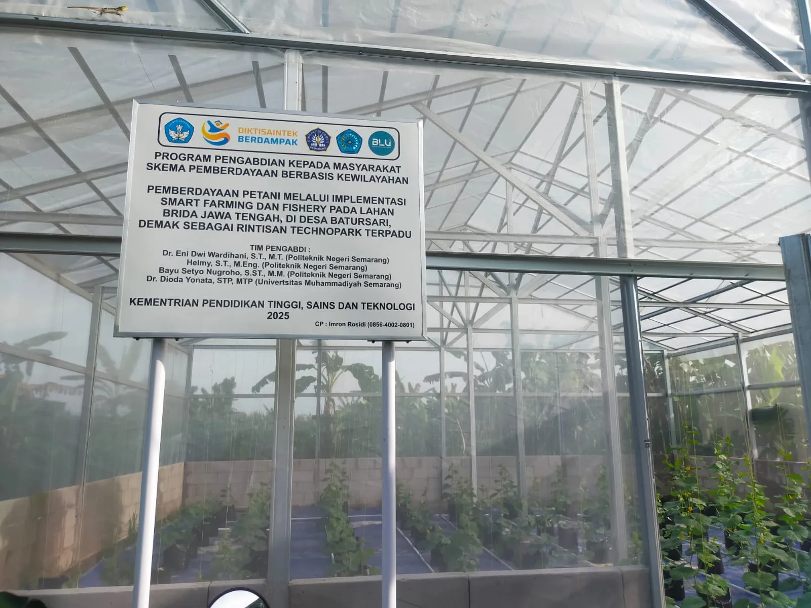 Dari Benih Jadi Buah: Greenhouse Hidroponik Karang Taruna Batursari Mulai Memasuki Masa Panen! - 4