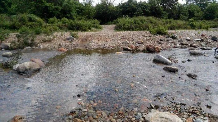 Pelatihan Kewirausahaan Pemuda