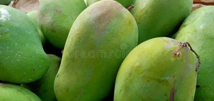 Mangga Arum Manis - 1