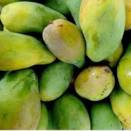 Mangga Arum Manis - 2