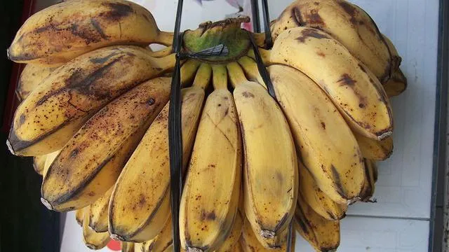 Pisang Kepok - 2