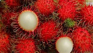 Rambutan Binjai - 2