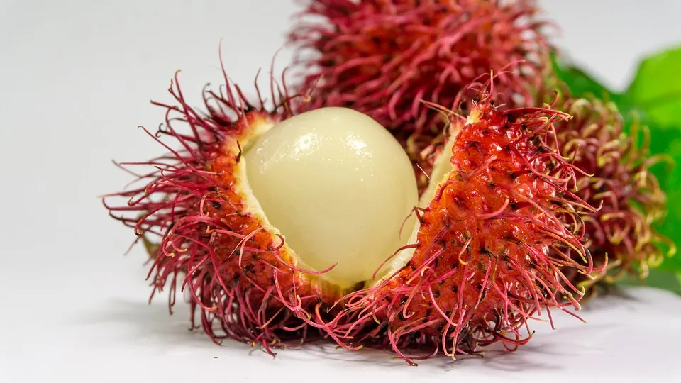Rambutan Binjai - 3